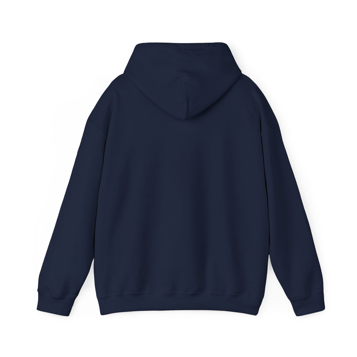 Jackhenge hoodie blue from the back