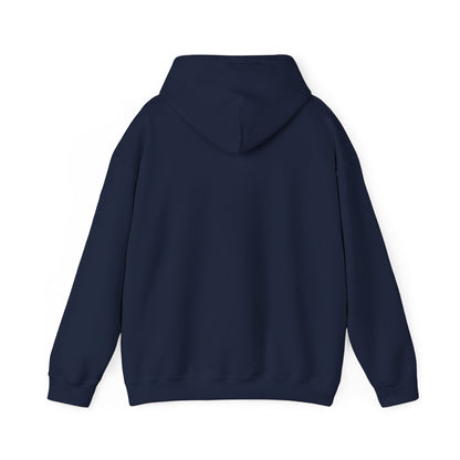 Jackhenge hoodie blue from the back